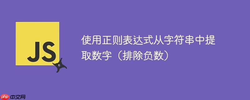 使用正则表达式从字符串中提取数字（排除负数）