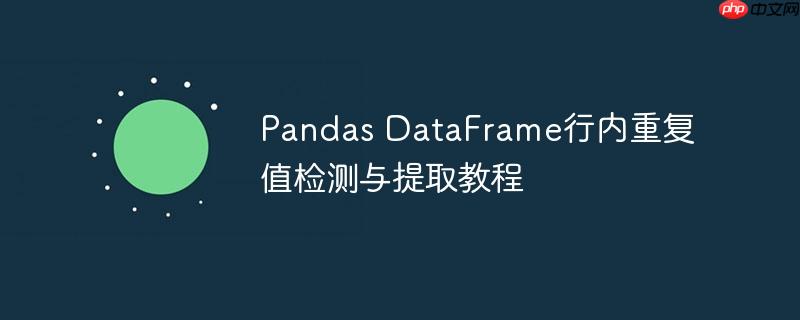 Pandas DataFrame行内重复值检测与提取教程