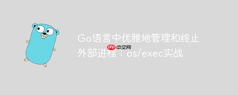 Go语言中优雅地管理和终止外部进程：os/exec实战