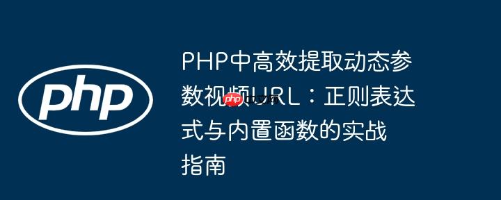 PHP中高效提取动态参数视频URL：正则表达式与内置函数的实战指南