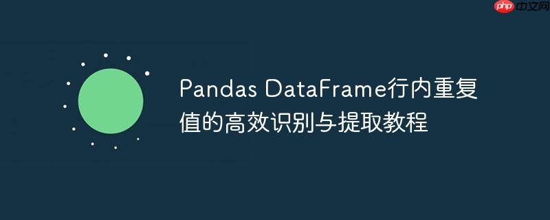 Pandas DataFrame行内重复值的高效识别与提取教程