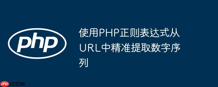使用PHP正则表达式从URL中精准提取数字序列