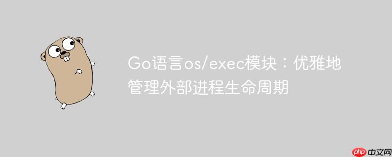Go语言os/exec模块：优雅地管理外部进程生命周期