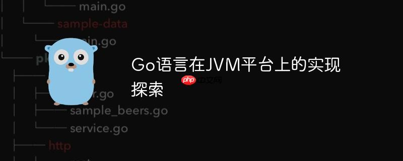 Go语言在JVM平台上的实现探索