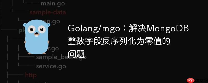 Golang/mgo：解决MongoDB整数字段反序列化为零值的问题