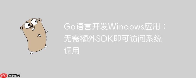Go语言开发Windows应用：无需额外SDK即可访问系统调用