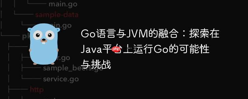 Go语言与JVM的融合：探索在Java平台上运行Go的可能性与挑战