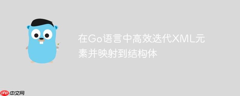 在Go语言中高效迭代XML元素并映射到结构体