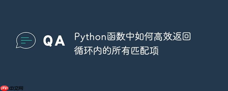 Python函数中如何高效返回循环内的所有匹配项