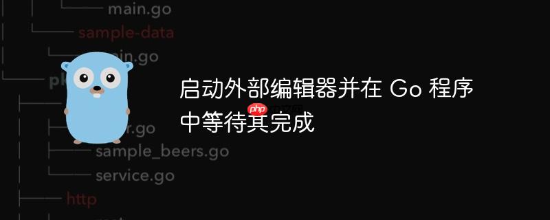 启动外部编辑器并在 Go 程序中等待其完成