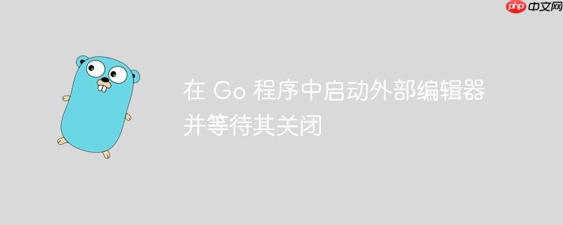 在 Go 程序中启动外部编辑器并等待其关闭