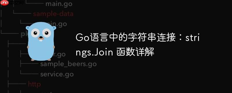 Go语言中的字符串连接：strings.Join 函数详解