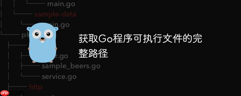 获取Go程序可执行文件的完整路径