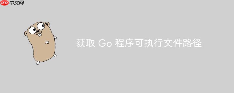 获取 Go 程序可执行文件路径