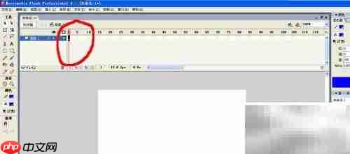 Flash动画制作入门技巧