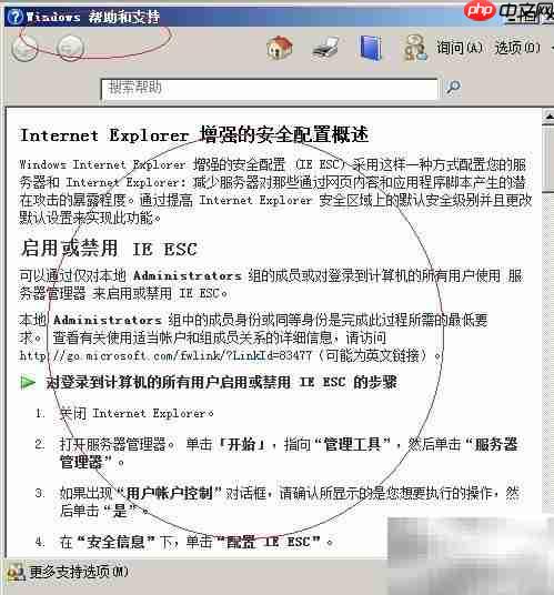 Win2008 R2启用IE安全配置