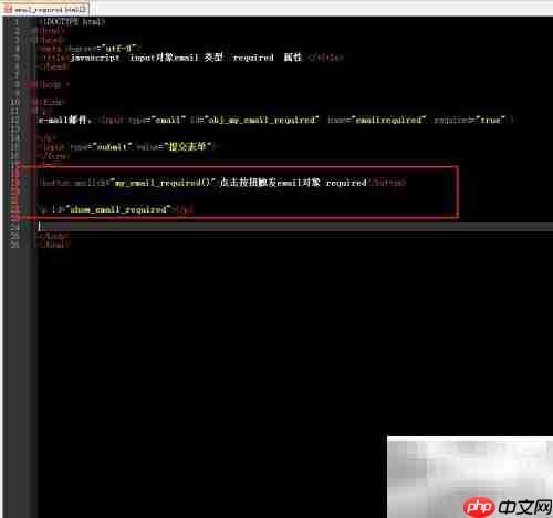 email对象required属性用法解析