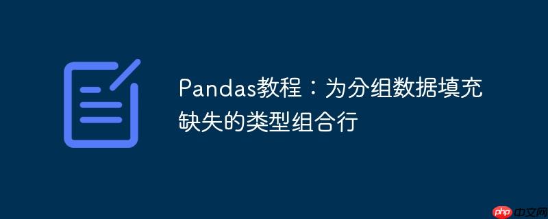 Pandas教程：为分组数据填充缺失的类型组合行