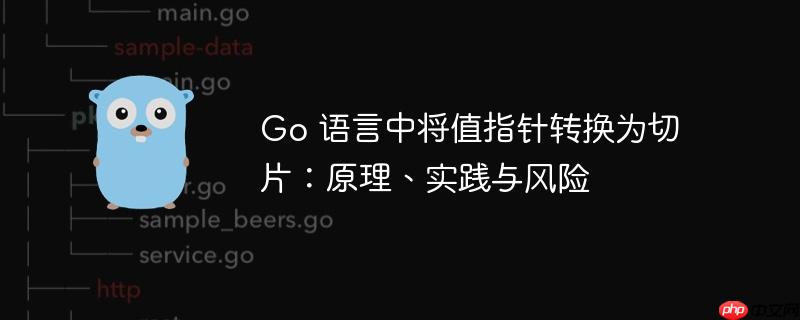 Go 语言中将值指针转换为切片：原理、实践与风险