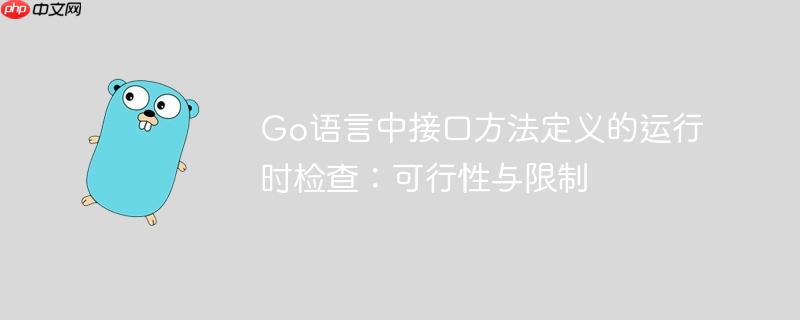 Go语言中接口方法定义的运行时检查：可行性与限制