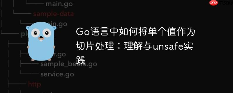 Go语言中如何将单个值作为切片处理：理解与unsafe实践