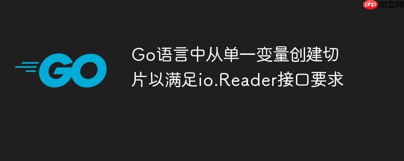 Go语言中从单一变量创建切片以满足io.Reader接口要求