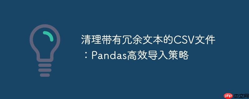 清理带有冗余文本的CSV文件：Pandas高效导入策略