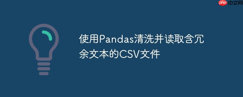 使用Pandas清洗并读取含冗余文本的CSV文件