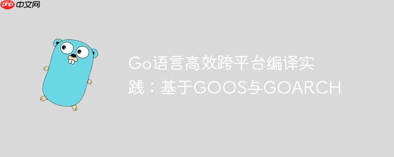 Go语言高效跨平台编译实践：基于GOOS与GOARCH