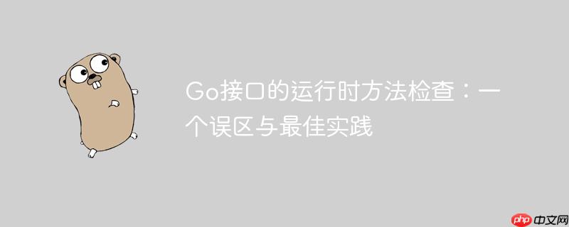 Go接口的运行时方法检查：一个误区与最佳实践