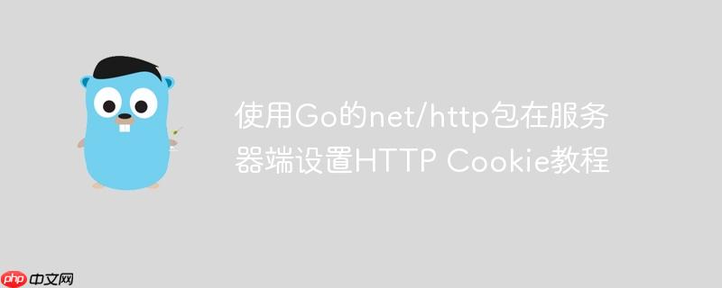 使用Go的net/http包在服务器端设置HTTP Cookie教程