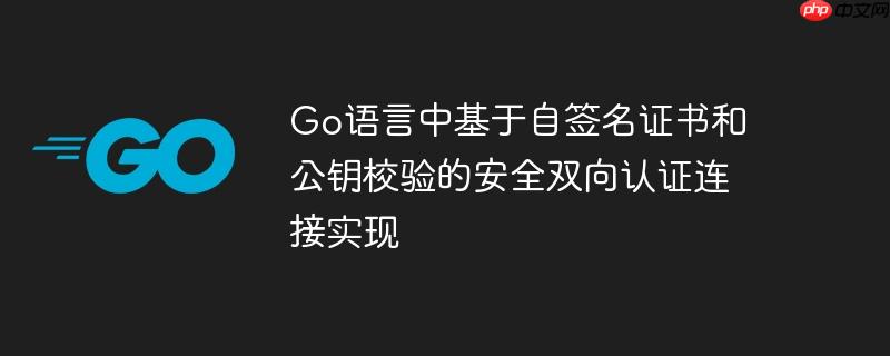 Go语言中基于自签名证书和公钥校验的安全双向认证连接实现