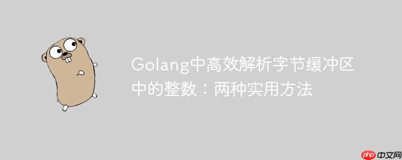 Golang中高效解析字节缓冲区中的整数：两种实用方法