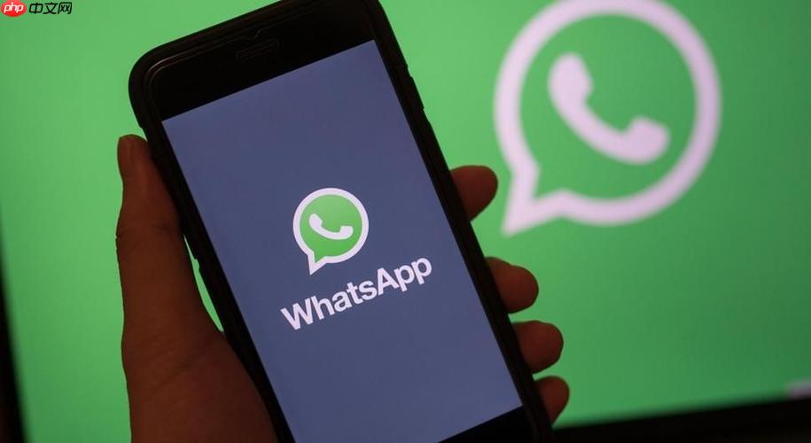WhatsApp多设备同步登录-WhatsApp跨平台中文官网使用指南