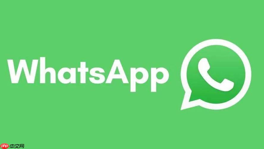 WhatsApp视频通话高清入口-WhatsApp语音通话中文官网教程