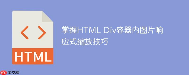 掌握HTML Div容器内图片响应式缩放技巧