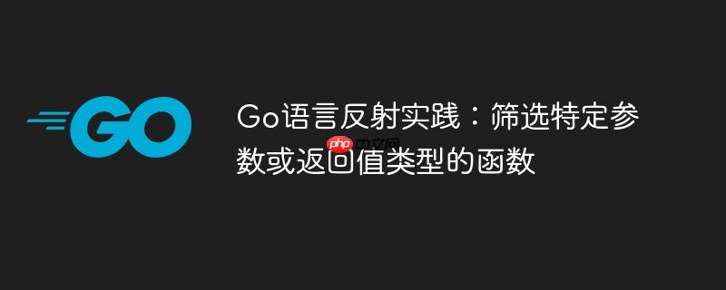 Go语言反射实践：筛选特定参数或返回值类型的函数