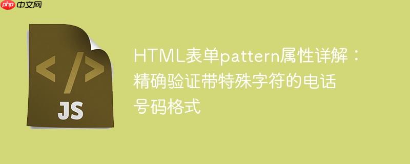 HTML表单pattern属性详解：精确验证带特殊字符的电话号码格式