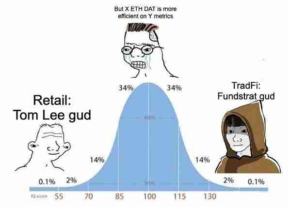 山寨币DAT投资全面解析与避坑指南