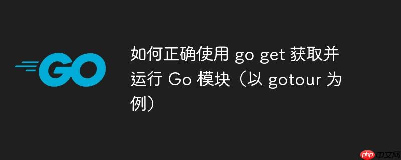 如何正确使用 go get 获取并运行 Go 模块（以 gotour 为例）