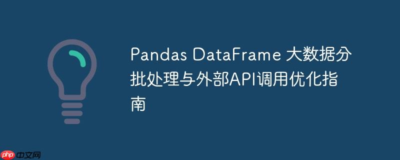 Pandas DataFrame 大数据分批处理与外部API调用优化指南