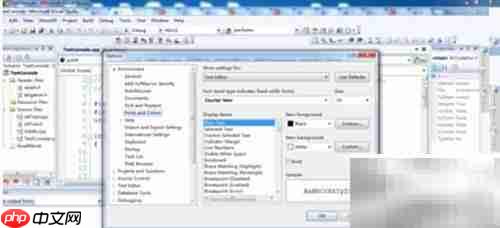 VS2005字体行号设置技巧