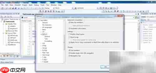 VS2005字体行号设置技巧