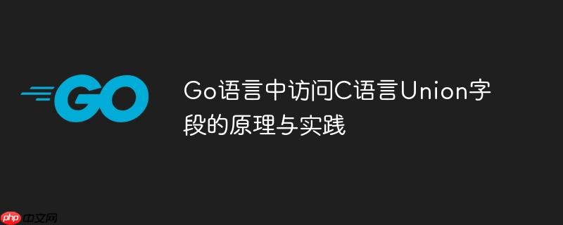 Go语言中访问C语言Union字段的原理与实践