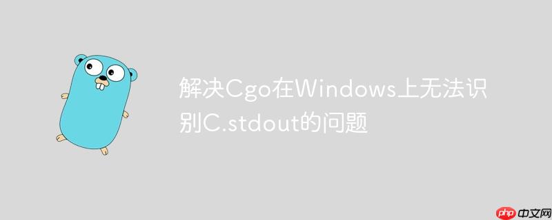 解决Cgo在Windows上无法识别C.stdout的问题