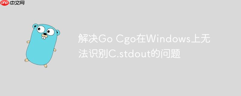 解决Go Cgo在Windows上无法识别C.stdout的问题