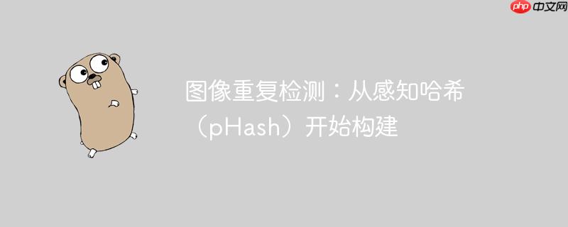 图像重复检测：从感知哈希（pHash）开始构建