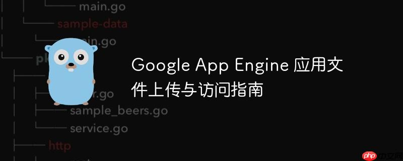 Google App Engine 应用文件上传与访问指南