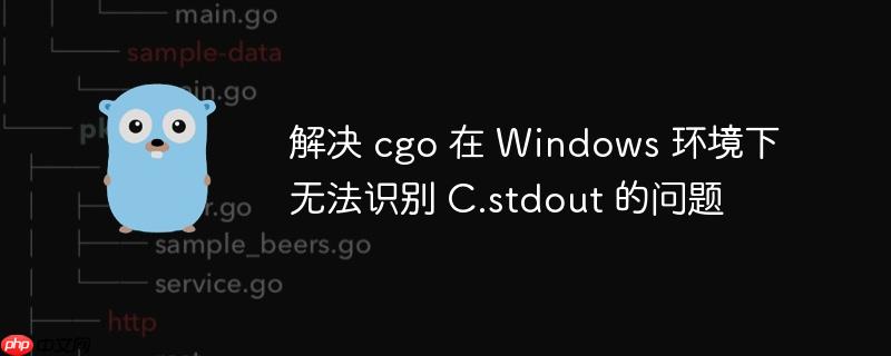 解决 cgo 在 Windows 环境下无法识别 C.stdout 的问题