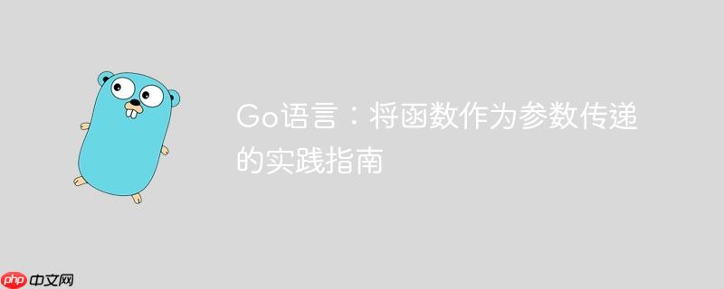 Go语言：将函数作为参数传递的实践指南